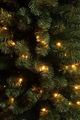 Black Box Trees Charlton Pilar verlichte kunstkerstboom groen 230cm - 180 lampjes - afbeelding 3