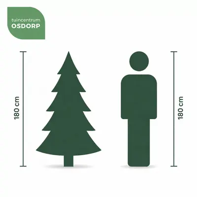 Black Box Trees Charlton verlichte kunstkerstboom groen 185cm - 280 lampjes - afbeelding 5