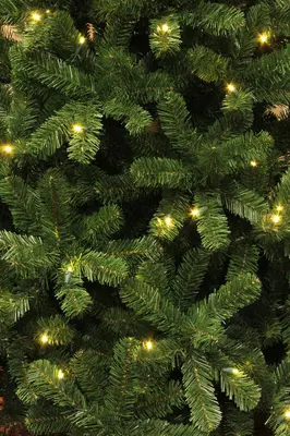 Black Box Trees Charlton verlichte kunstkerstboom groen 185cm - 280 lampjes - afbeelding 3