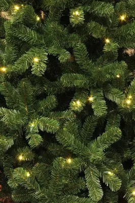 Black Box Trees Charlton verlichte kunstkerstboom groen 215cm - 360 lampjes - afbeelding 2