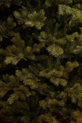 Black Box Trees Clive kunstkerstboom groen 230cm - afbeelding 4