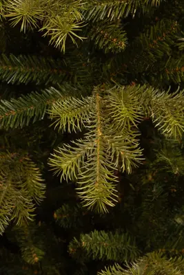 Black Box Trees Clive kunstkerstboom groen 230cm - afbeelding 6
