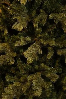 Black Box Trees Delmar kunstkerstboom groen 185cm - afbeelding 2