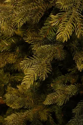 Black Box Trees Delmar kunstkerstboom groen 185cm - afbeelding 3