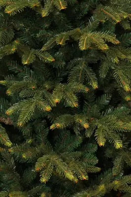 Black Box Trees frasier kunstkerstboom 124x185 cm groen - afbeelding 4