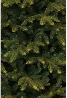 Black Box Trees frasier - kunstkerstboom 147x230 cm groen - afbeelding 5