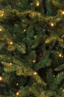 Black Box Trees frasier - kunstkerstboom met verlichting 145x215 cm groen - afbeelding 3