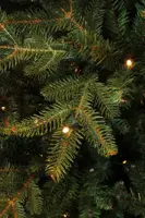 Black Box Trees frasier - kunstkerstboom met verlichting 145x215 cm groen - afbeelding 2