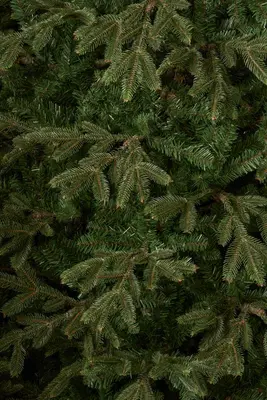 Black Box Trees frasier self shaping kunstkerstboom 147x230 cm groen - afbeelding 3