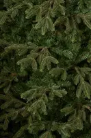 Black Box Trees frasier self shaping kunstkerstboom 161x260 cm groen - afbeelding 3