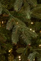 Black Box Trees frasier self shaping kunstkerstboom met verlichting 124x185 cm groen - afbeelding 2