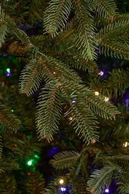 Black Box Trees frasier self shaping kunstkerstboom met verlichting 161x260 cm groen - afbeelding 2