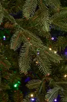 Black Box Trees frasier self shaping kunstkerstboom met verlichting 161x260 cm groen - afbeelding 2