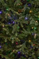 Black Box Trees frasier self shaping kunstkerstboom met verlichting 161x260 cm groen - afbeelding 3