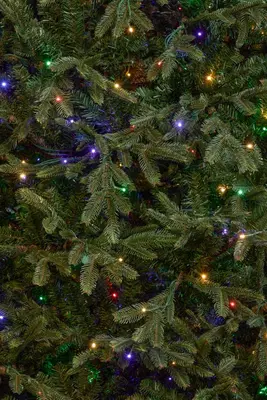 Black Box Trees frasier self shaping kunstkerstboom met verlichting 145x215 cm groen - afbeelding 3