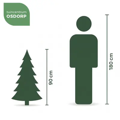 Black Box Trees Gerlos Frosted mini kunstkerstboom 90cm - afbeelding 6