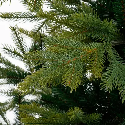 Black Box Trees Grimshaw kunstkerstboom groen 215cm - afbeelding 4