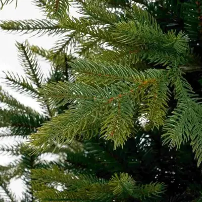 Black Box Trees Grimshaw kunstkerstboom groen 215cm - afbeelding 2