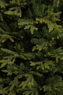 Black Box Trees Hanson kunstkerstboom groen 230cm - afbeelding 2