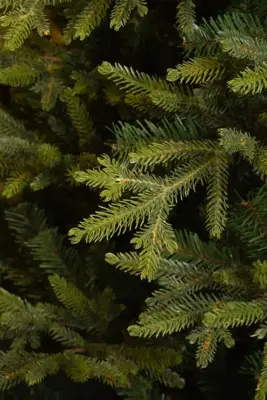 Black Box Trees Hanson kunstkerstboom groen 230cm - afbeelding 3