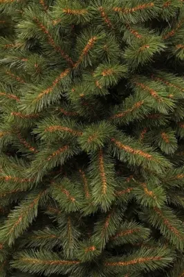 Black Box Trees Kingston kunstkerstboom groen 215cm - afbeelding 2