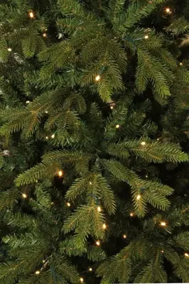 Black Box Trees Macallan grote kerstboom met verlichting groen 365cm - 1104 lampjes - afbeelding 3