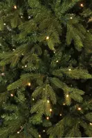 Black Box Trees Macallan grote kerstboom met verlichting groen 365cm - 1104 lampjes - afbeelding 3