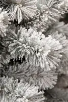 Black Box Trees Medford kunstkerstboom besneeuwd groen 185cm - afbeelding 4