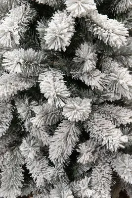 Black Box Trees Medford kunstkerstboom besneeuwd groen 215cm - afbeelding 5