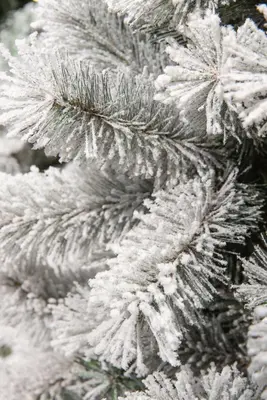 Black Box Trees Medford kunstkerstboom besneeuwd groen 215cm - afbeelding 6