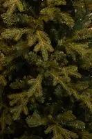 Black Box Trees Meran kunstkerstboom groen 215cm - afbeelding 3