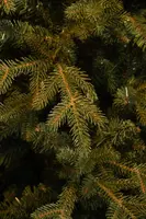 Black Box Trees Meran kunstkerstboom groen 215cm - afbeelding 4