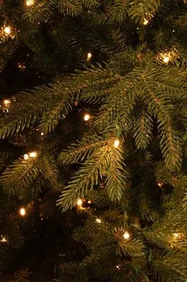 Black Box Trees Meran verlichte kunstkerstboom groen 230cm - 408 lampjes - afbeelding 2