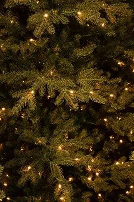 Black Box Trees Meran verlichte kunstkerstboom groen 230cm - 408 lampjes - afbeelding 3