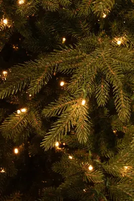 Black Box Trees Meran verlichte kunstkerstboom groen 230cm - 408 lampjes - afbeelding 3