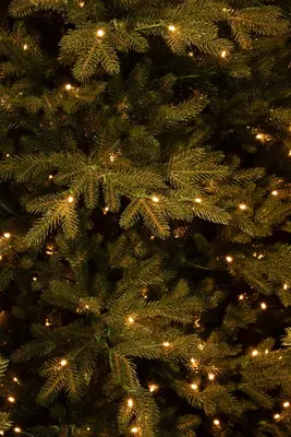 Black Box Trees Meran verlichte kunstkerstboom groen 230cm - 408 lampjes - afbeelding 4