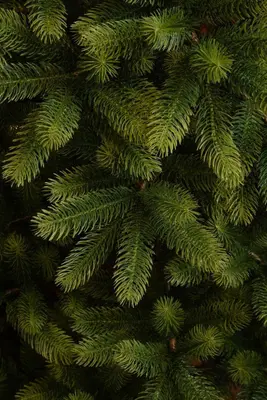 Black Box Trees Nagoya kunstkerstboom 210 cm - afbeelding 5