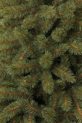 Black Box Trees Toronto Deluxe kunstkerstboom groen 155cm - afbeelding 2