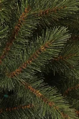 Black Box Trees Toronto Deluxe verlichte kerstboom groen 155cm - 180 lampjes - afbeelding 2