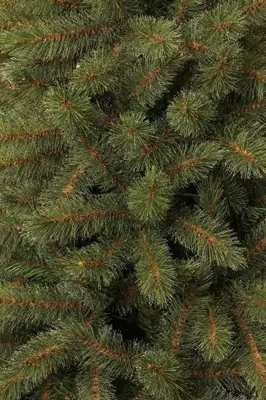 Black Box Trees Toronto Deluxe verlichte kerstboom groen 155cm - 180 lampjes - afbeelding 3