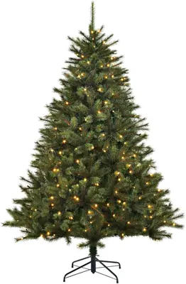 Black Box Trees Toronto Deluxe verlichte kerstboom groen 155cm - 180 lampjes - afbeelding 1