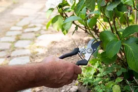 BLACK+DECKER Tuingereedschap Set – 4-delig – Inclusief snoeischaar, schep, tuinklauw en kniemat – Zwart/Oranje - afbeelding 5