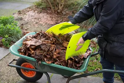 Bladscheppen met handvat groen - afbeelding 2