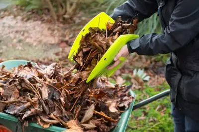 Bladscheppen met handvat groen - afbeelding 3