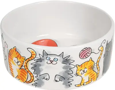Blond Amsterdam voerbak aardewerk cat 15,5x6,5cm multi - afbeelding 1