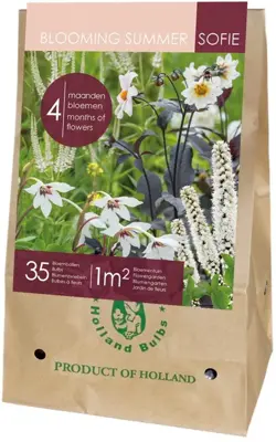 Blooming summer-sofie 35 stuks - afbeelding 1
