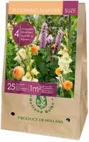Blooming summer suze 25 stuks - afbeelding 1