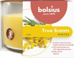 Bolsius geurglas medium true scents mimosa kopen?
