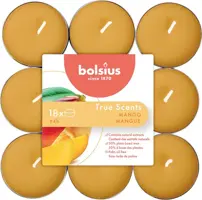 Bolsius geurtheelicht true scents mango 18 stuks kopen?