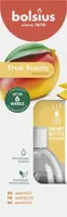 Bolsius geurverspreider true scents mango 60 ml kopen?